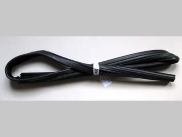 Fiat Grande Punto Türfenstergummi vorne links 5-Türer