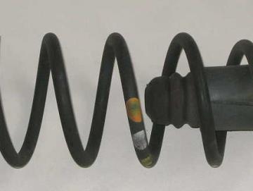 Lancia Musa Feder hinten