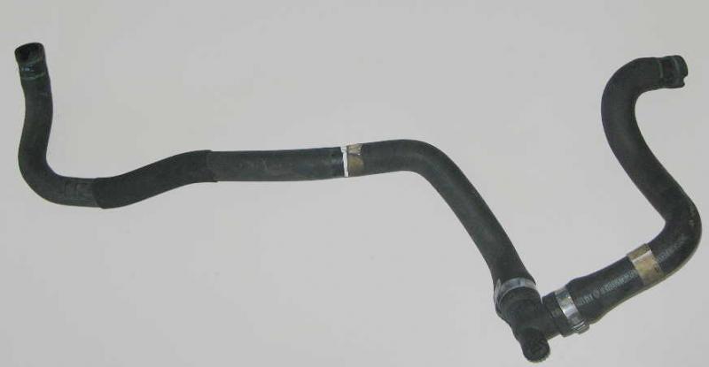 Lancia Musa Schlauch