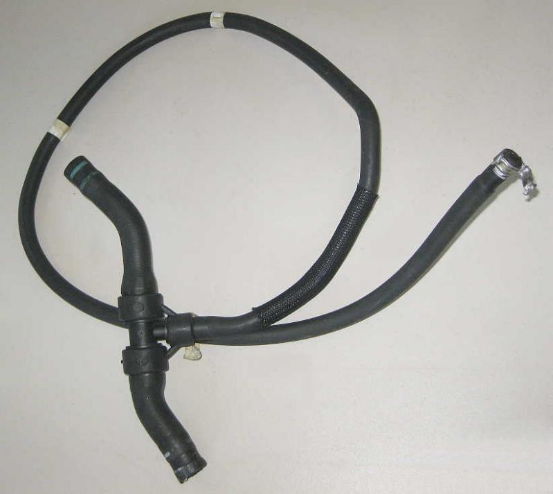 Lancia Musa Schlauch