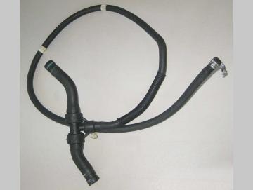 Lancia Musa Schlauch