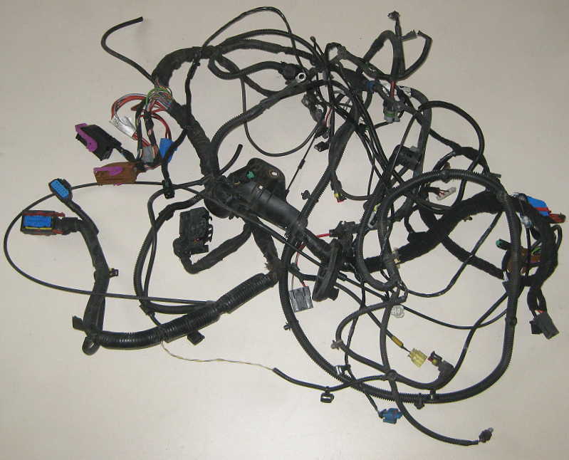 Lancia Musa Kabelbaum