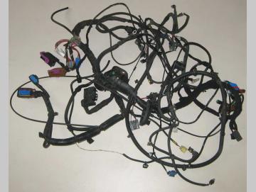 Lancia Musa Kabelbaum